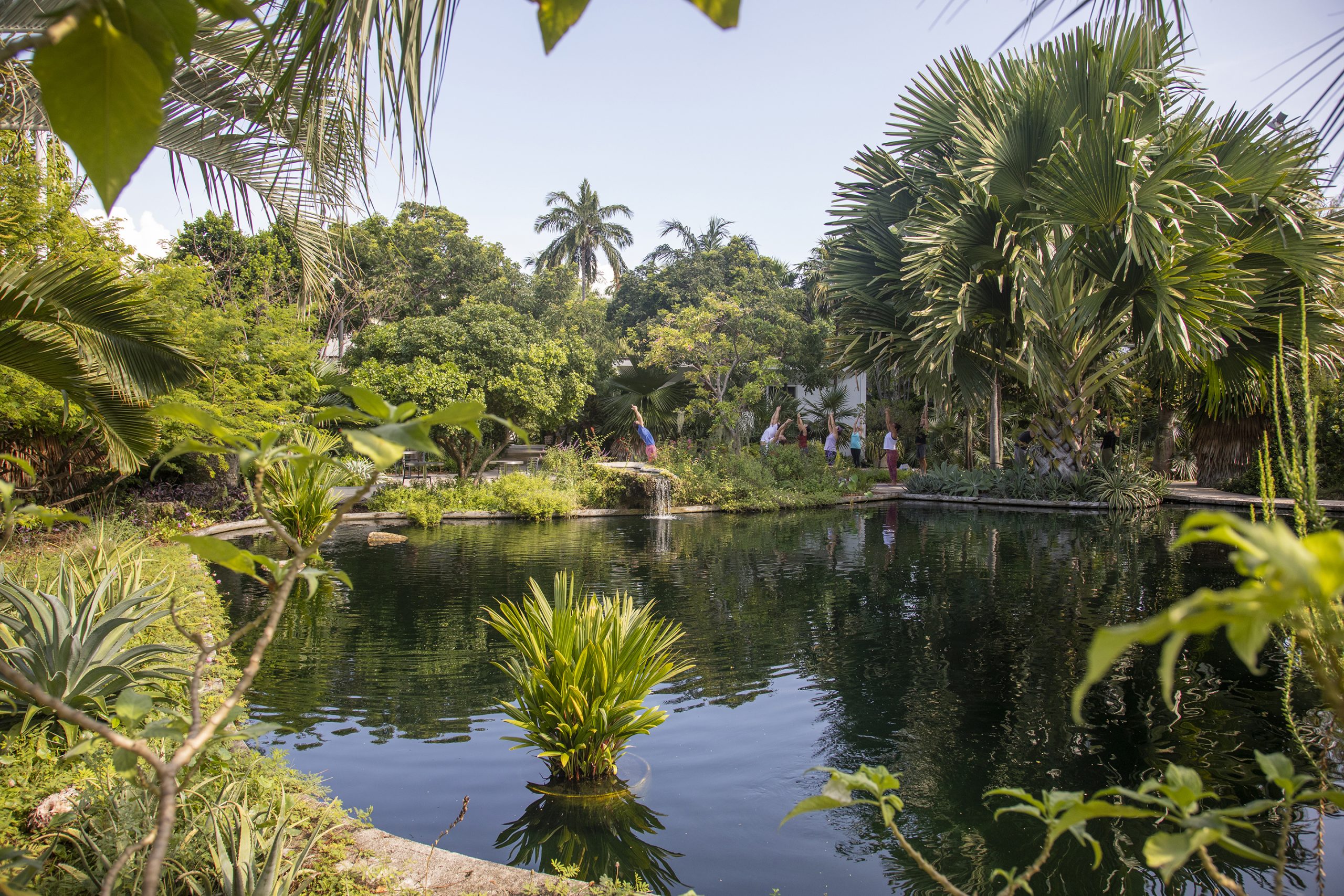 Parking Info  Miami Beach Botanical Garden