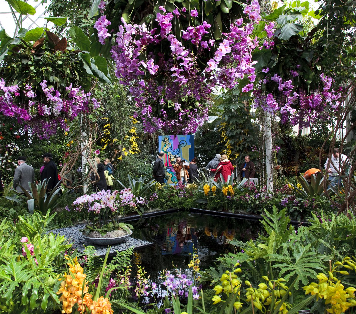 Nybg Orchid Show Brazilian Modern Raymond Jungles Inc